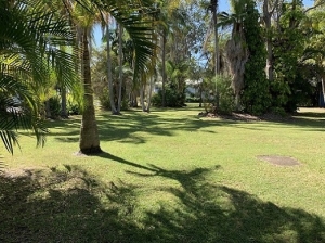 Lawn  Area